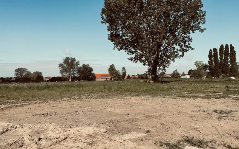 356175592_6495194673869875_5587934194466543146_n