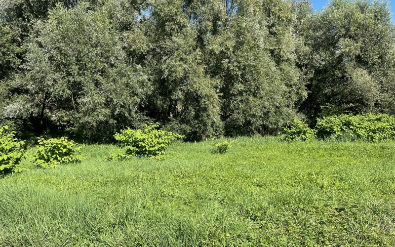 373351937_1321847458726833_8492806033097050013_n