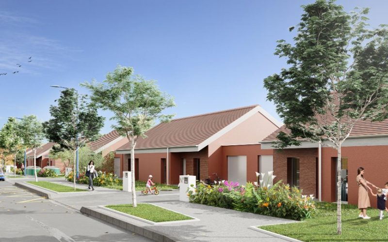 Image1